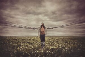 Inside the web - Hinders by Idan Wizen.